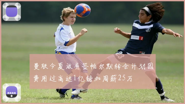 曼联今夏放弃签帕尔默转会计划因费用过高达1亿镑加周薪25万